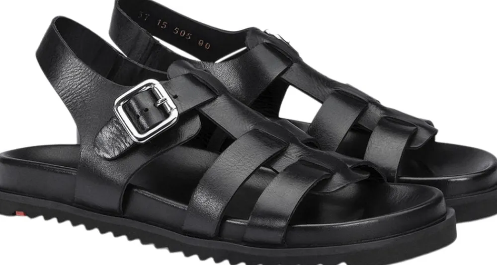 Lloyd 06749861 Black Clearance