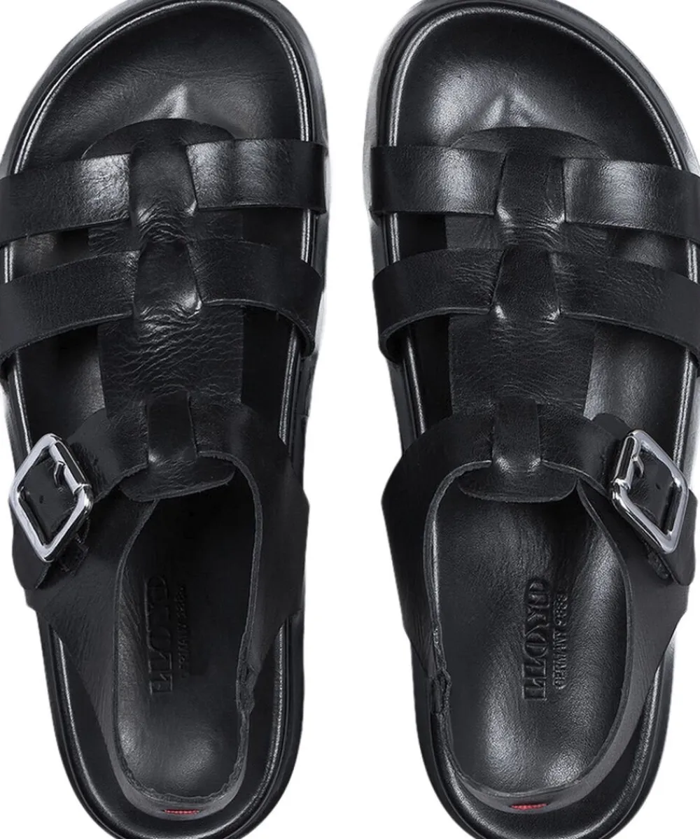 Lloyd 06749861 Black Clearance