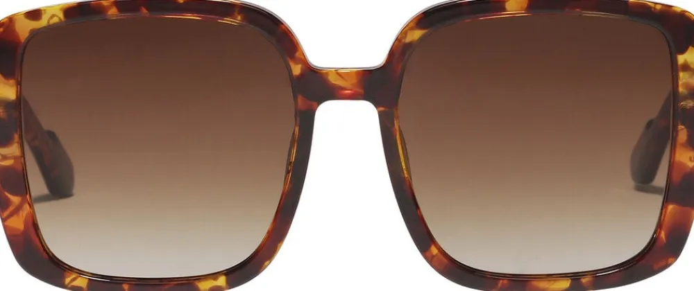 Dame Pilgrim ALIET sunglasses tortoise brown/gold