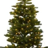 Anni Juletræ 273 LED>Sirius Outlet