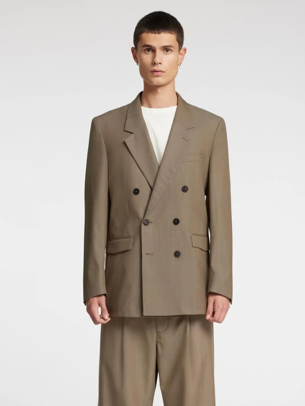 Annarr ANRASIR 251 DB BLAZER Brindle
