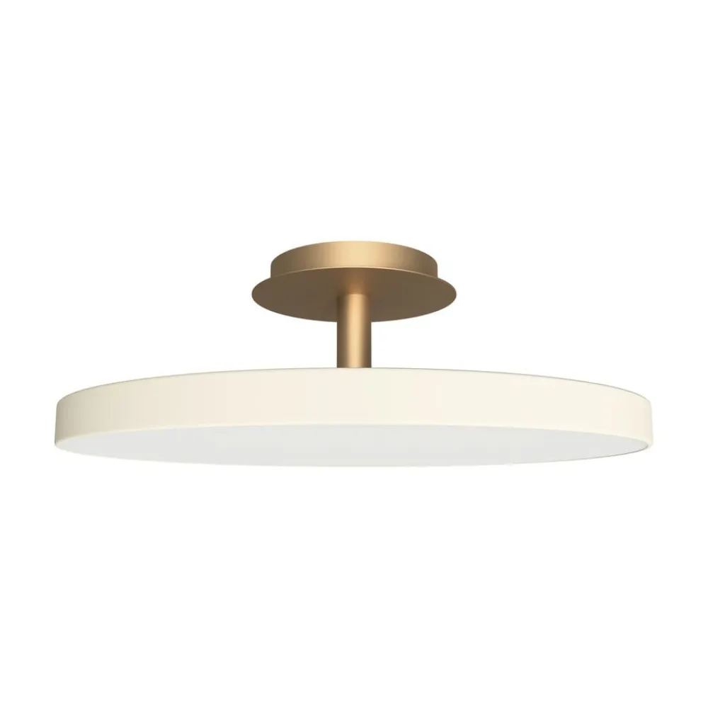 Asteria Up Plus>UMAGE Outlet