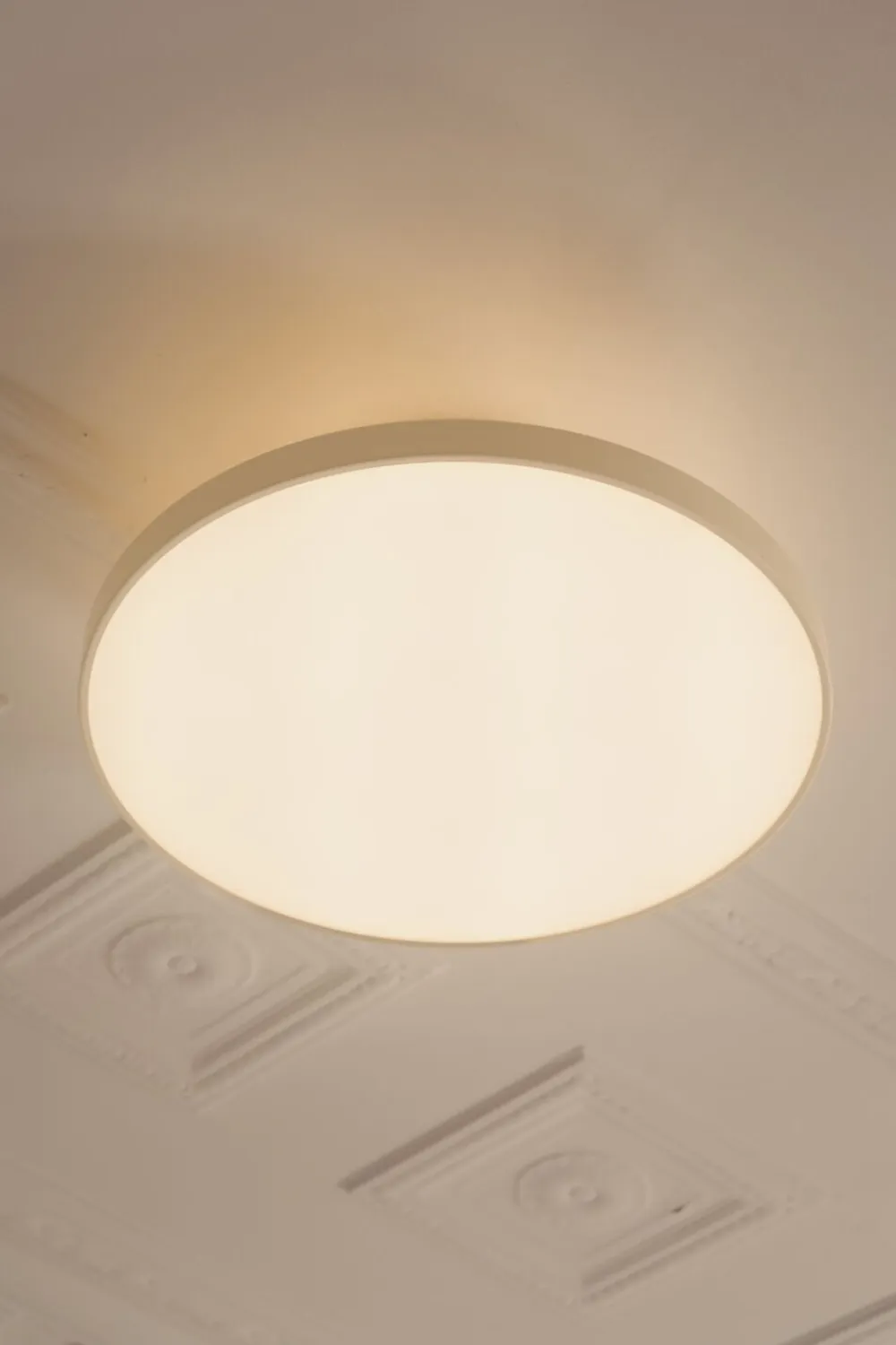 Asteria Up Plus>UMAGE Outlet