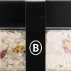 Badeanstalten Badesalt Dans på Roser