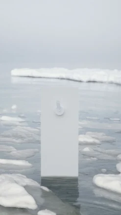 Birdie - Glacier