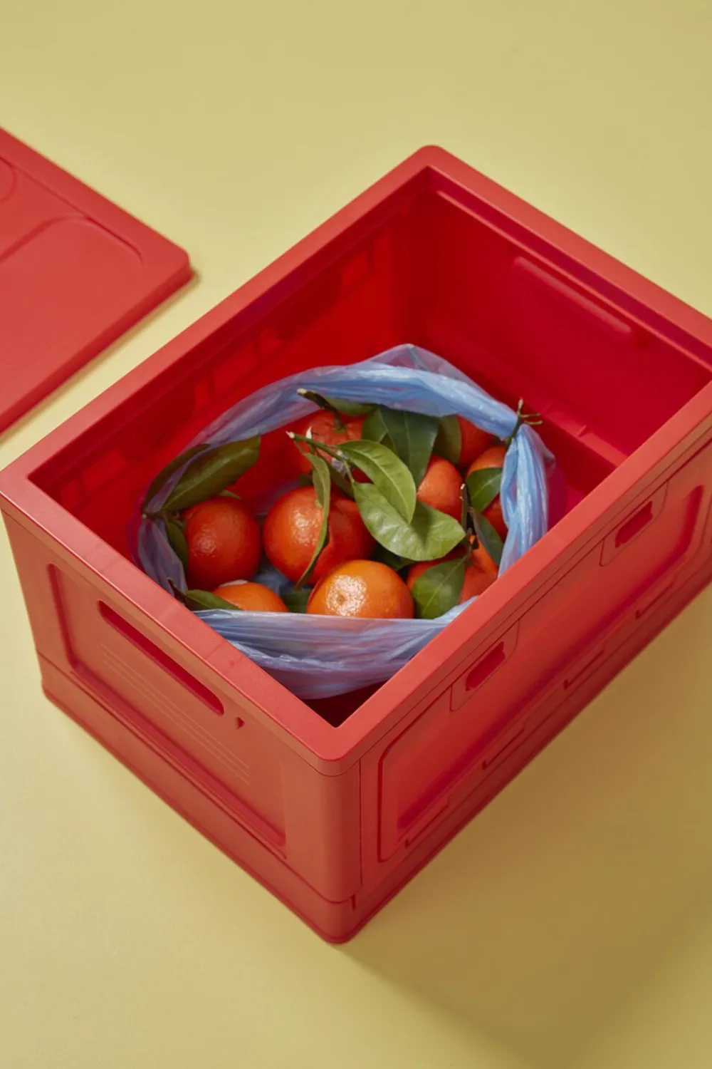 Box, Small>Studio About