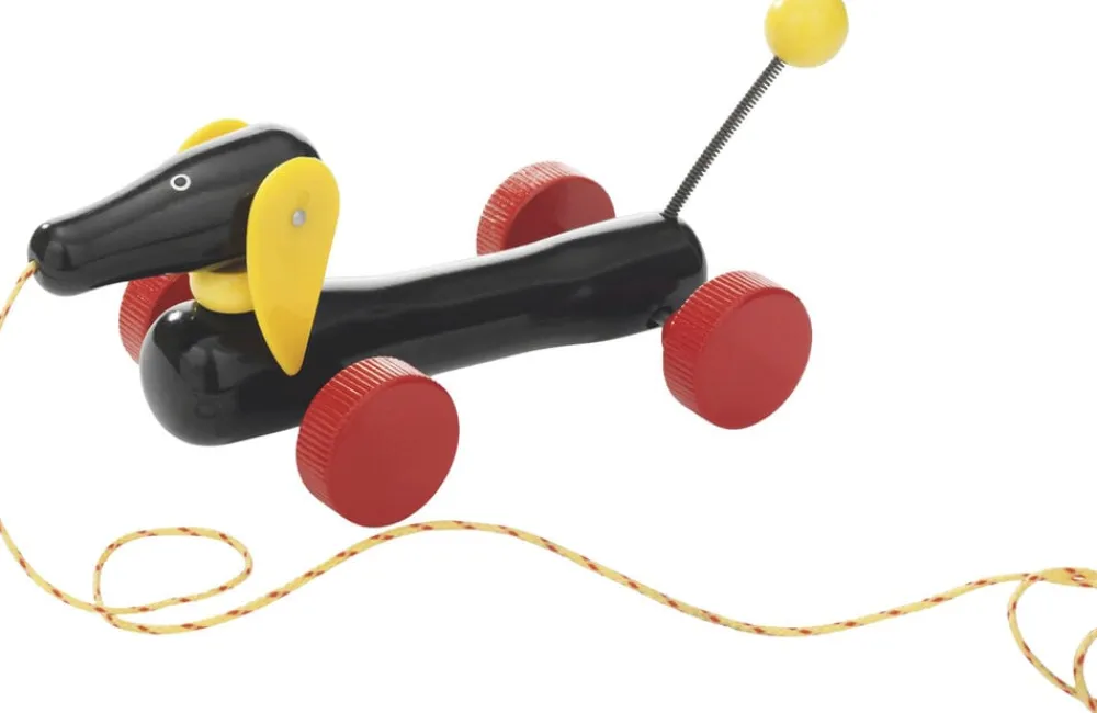 DACHSIE TRÆKKEHUND>Brio Online