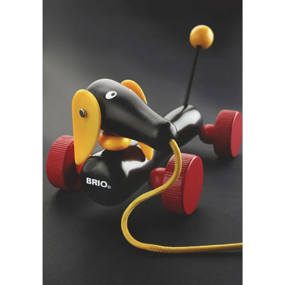 DACHSIE TRÆKKEHUND>Brio Online