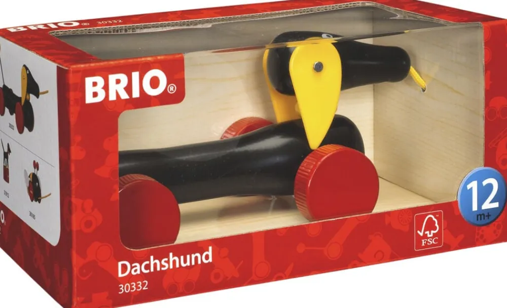 DACHSIE TRÆKKEHUND>Brio Online