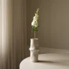 Botané Delphinium Flower