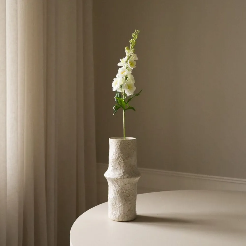 Botané Delphinium Flower