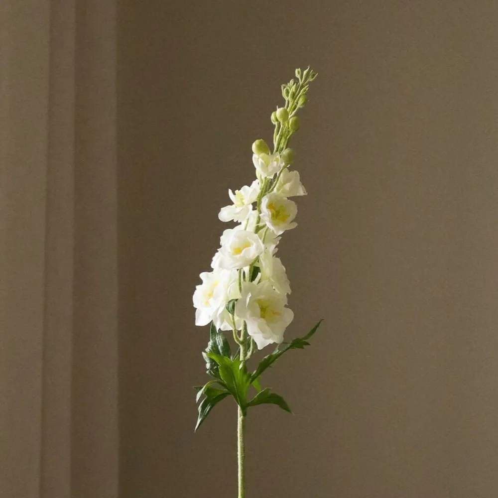 Botané Delphinium Flower