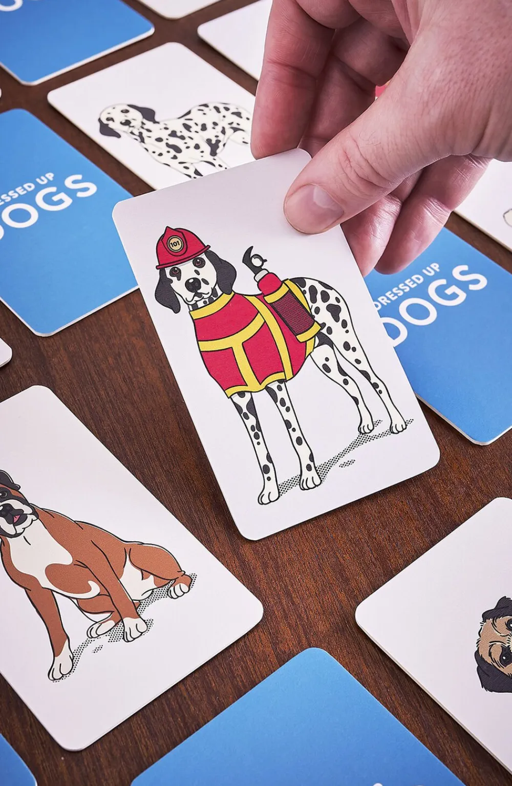 Dress up dogs memory game>Ridley´s Hot