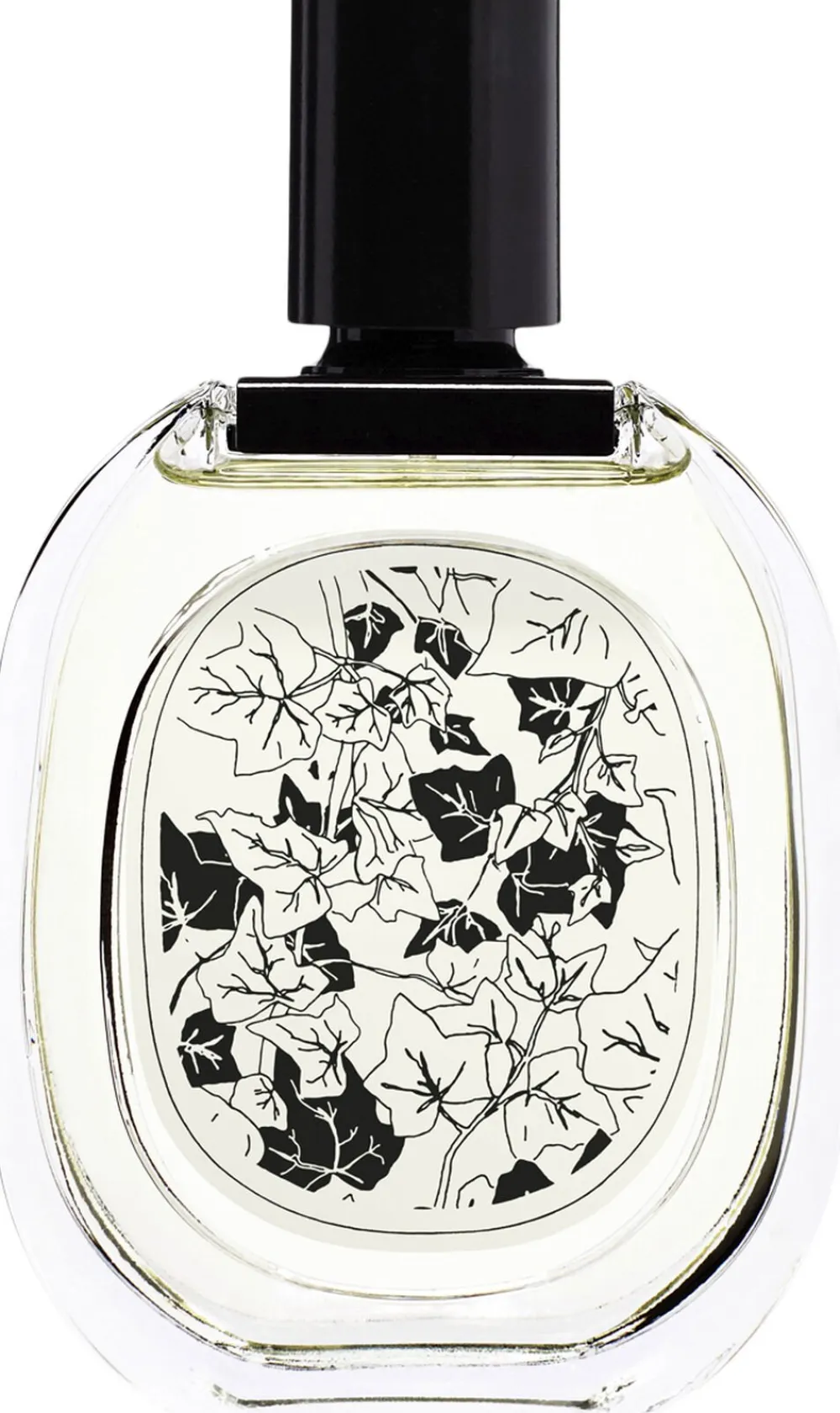 EDT Eau de Lierre 100 ml / 3,4 fl oz 80°>Diptyque