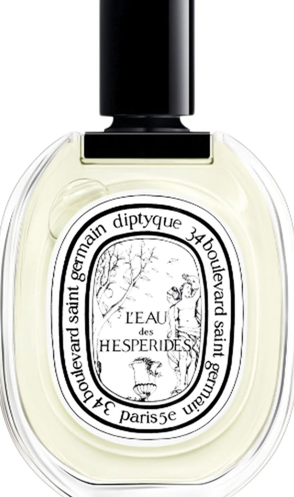 EDT Eau des Hespérides 100 ml>Diptyque Hot