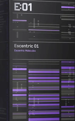 Escentric 01><noscript><img width=