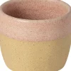 Costa Nova Espressokop Arenito 7 cl Rosa Stentøj Hot