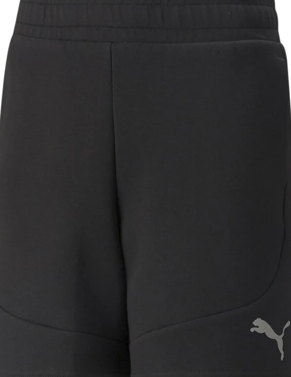 Evostripe 15" shorts>Puma