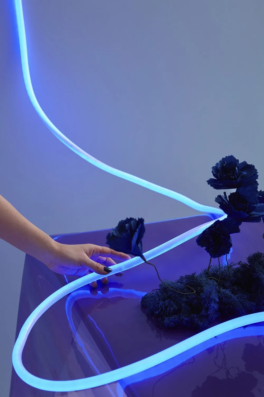 FLEX TUBE, 5 M, BLUE>Studio About