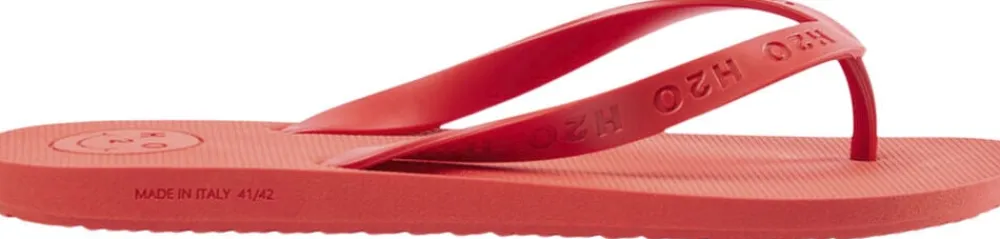 H2O Flip Flop