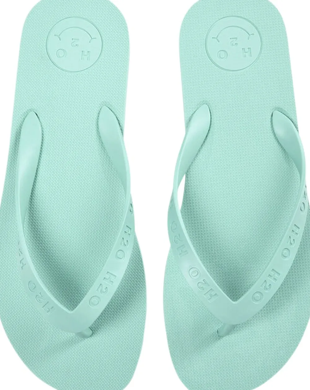 H2O Flip Flop