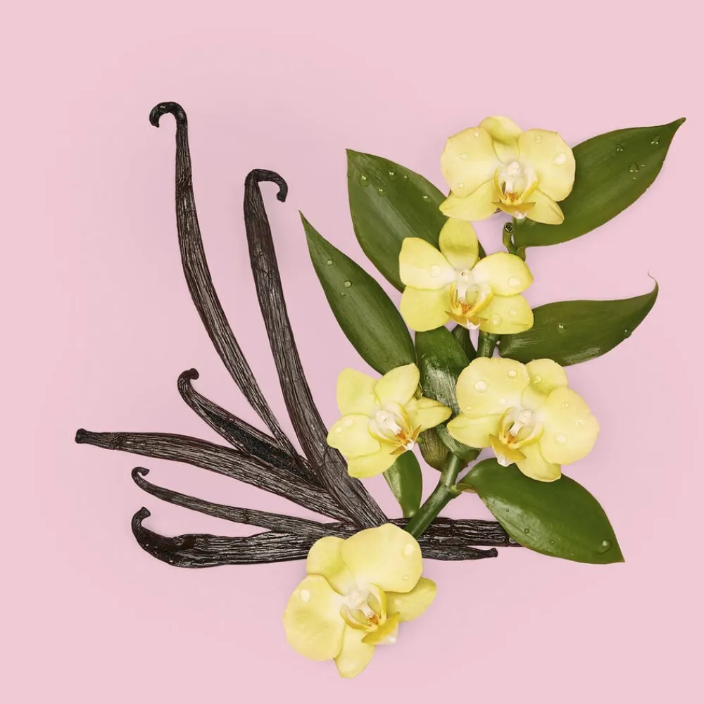 Flora Gorgeous Orchid Eau de parfum>Gucci Sale