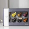 Xocolatl Frog parade Online