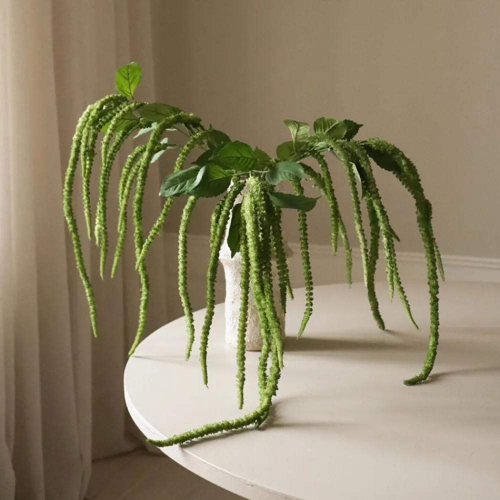 Botané Green Three Forks Amaranthus Flower