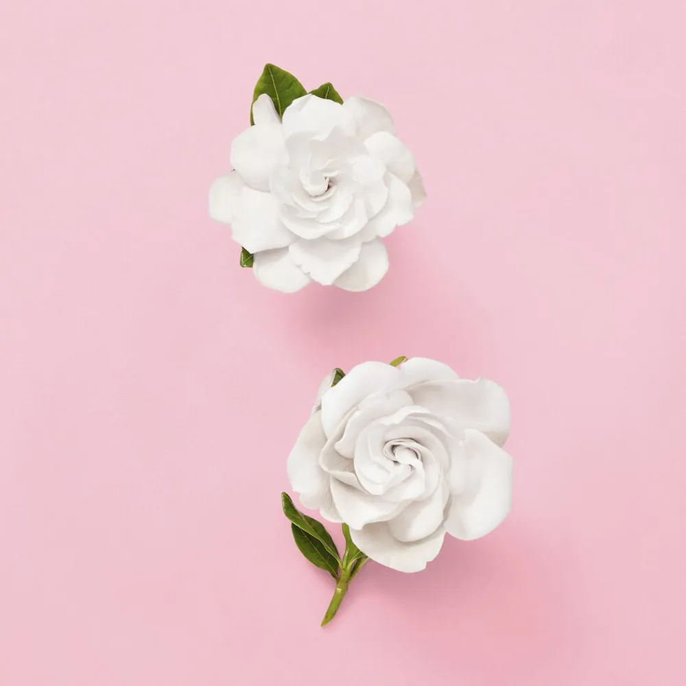 Gucci Flora Gorgeous Gardenia Eau de parfum