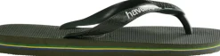 Hav. Brasil Logo><noscript><img width=