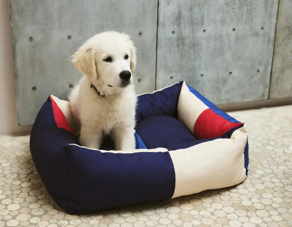 Dogs Bed-Medium-Red, blue>Hay Discount