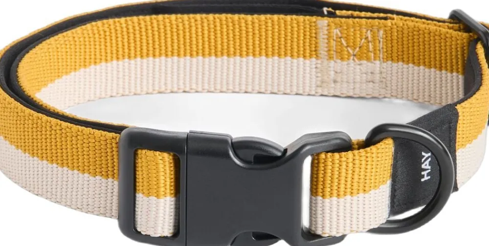 Dogs Collar Flat-M/L-Off-white,>Hay Clearance