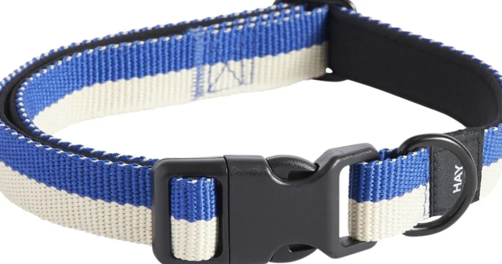Dogs Collar Flat-S/M-Blue, off->Hay Sale