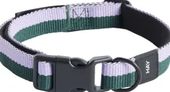 Dogs Collar Flat-S/M-Lavender,>Hay Discount