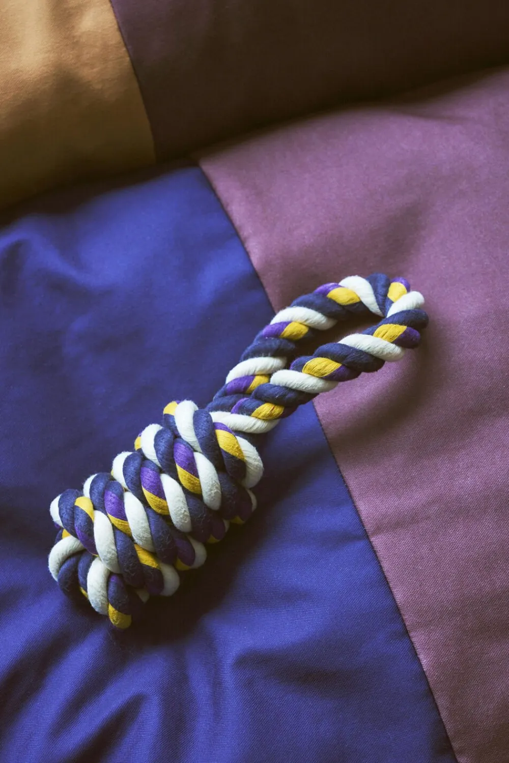 Hay Dogs Rope Toy-Blue, purple, och Online