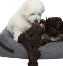 Nordog Hundeseng HYGGE Anthracite