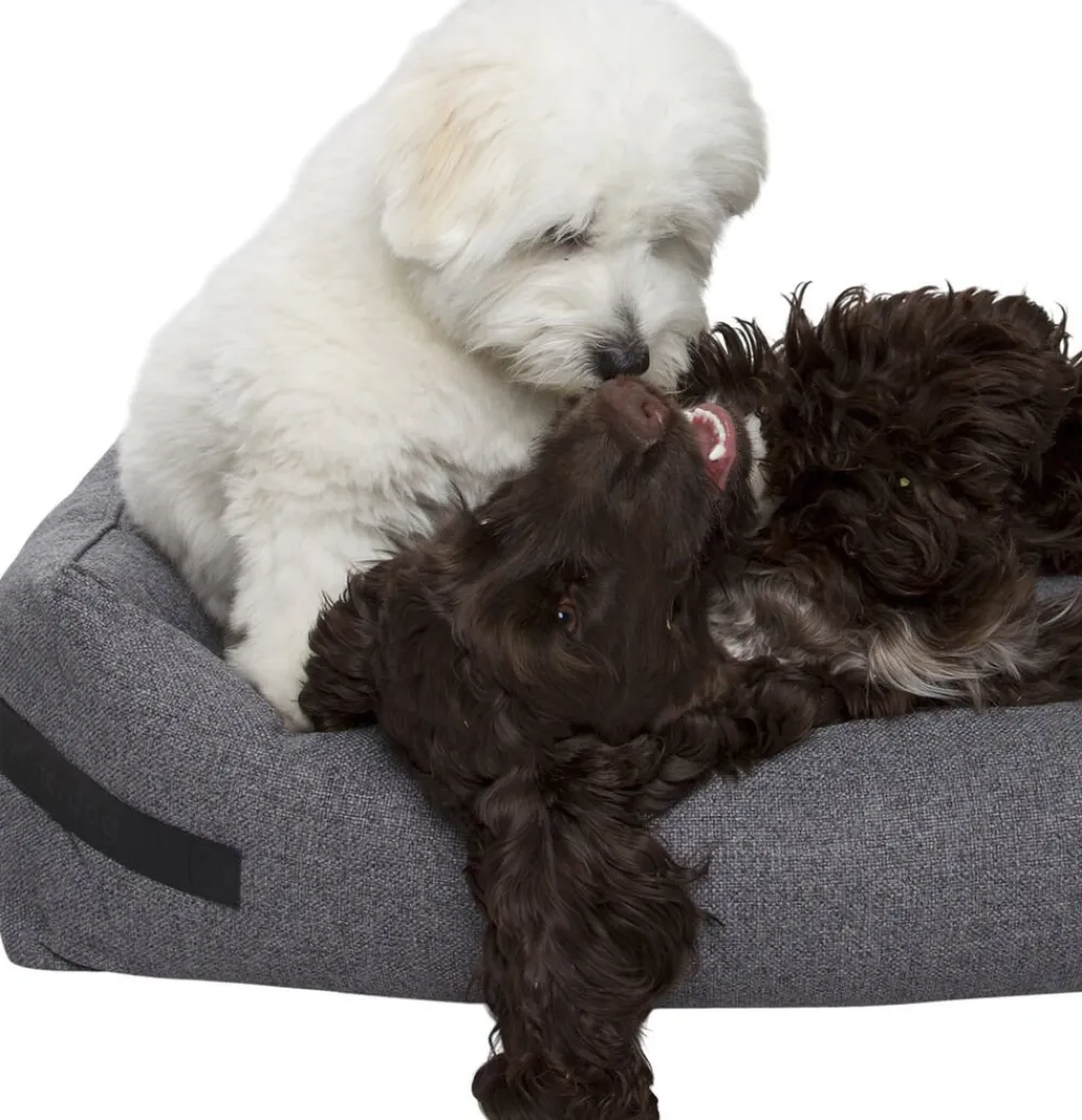 Nordog Hundeseng HYGGE Anthracite