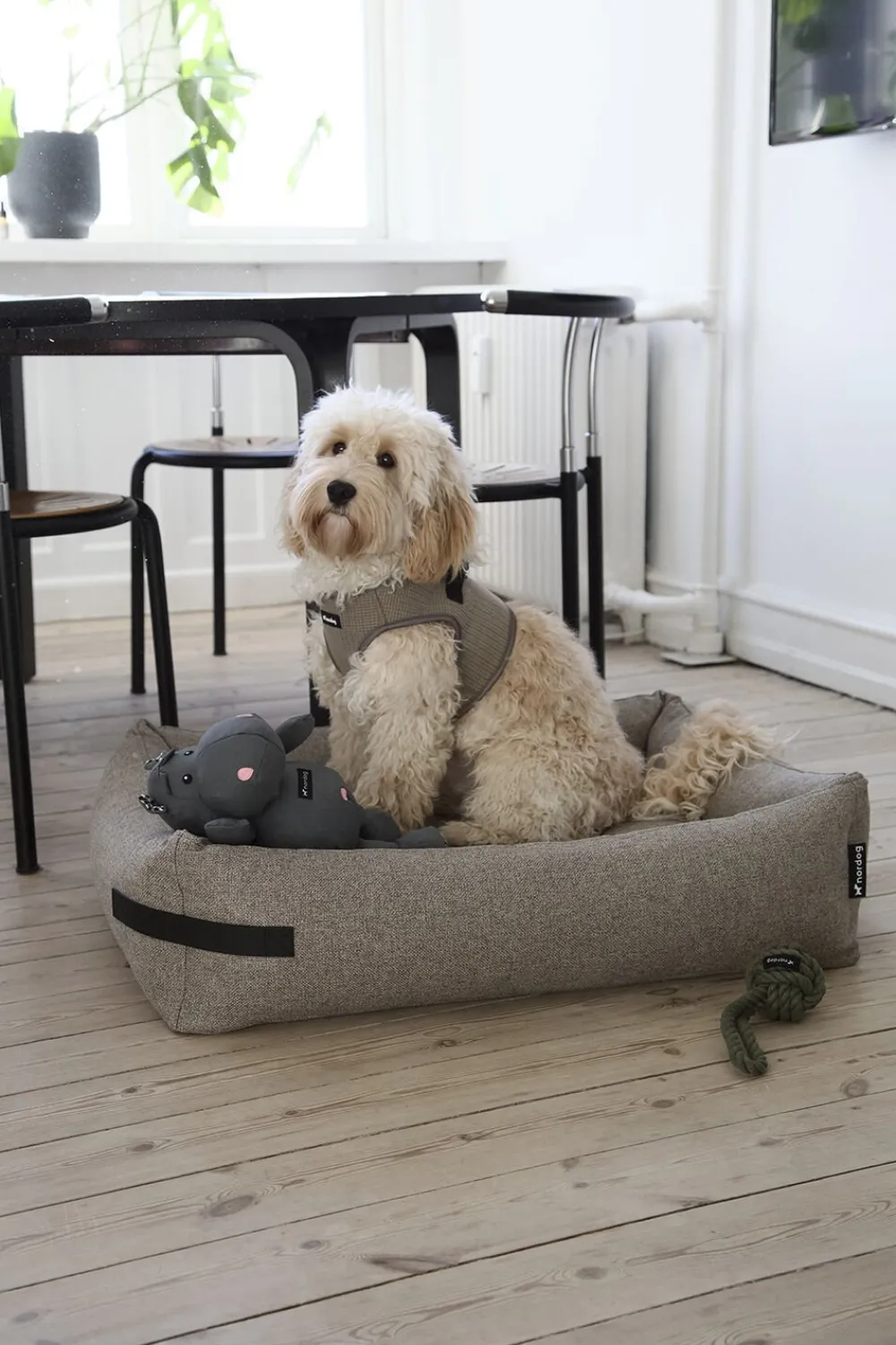 Nordog Hundeseng HYGGE Cappuccino