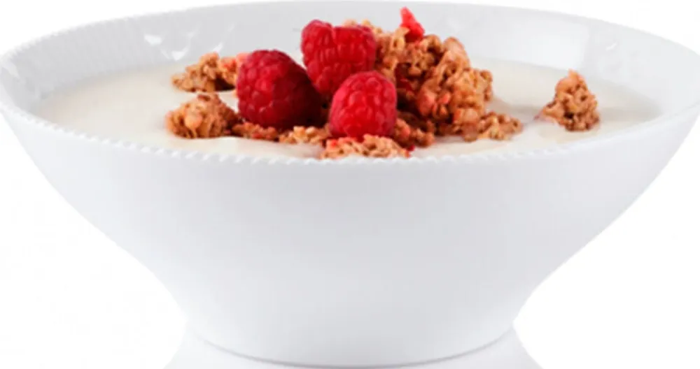 Royal Copenhagen Hvid Elements 78 cl. portionsskål Online