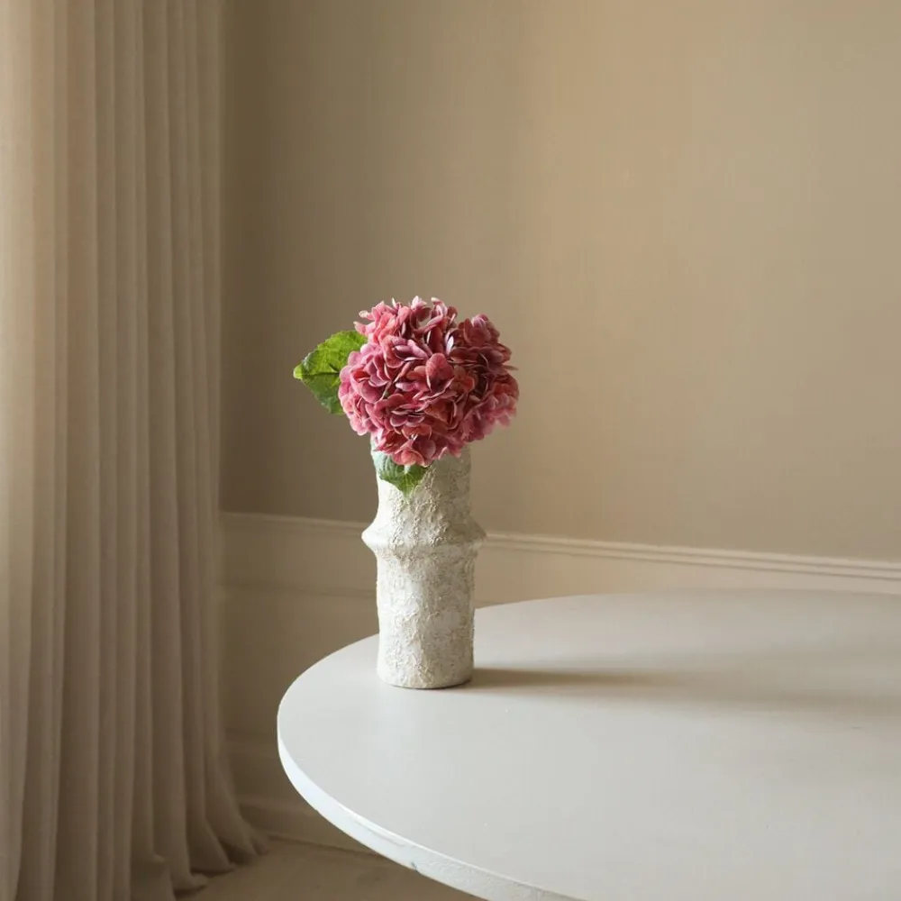 Hydrangea Flower>Botané Hot
