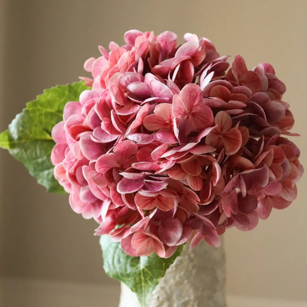 Hydrangea Flower>Botané Hot