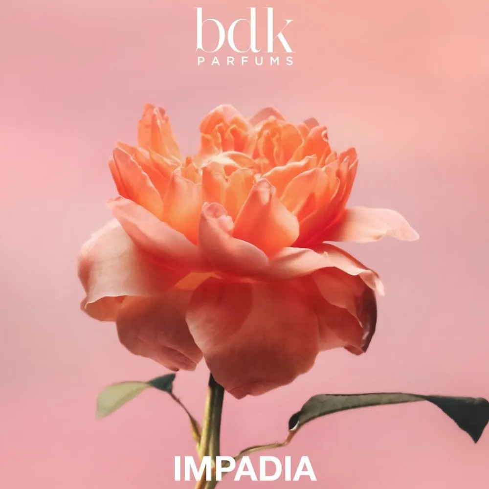IMPADIA - Eau de Parfum 100 ML>BDK New