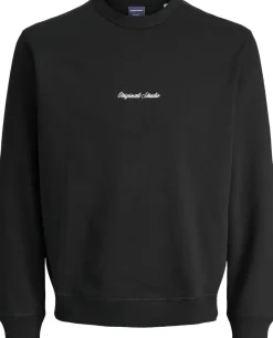 Børn Jack & Jones JORNORREBRO EMB SWEAT CREW NOOS JNR