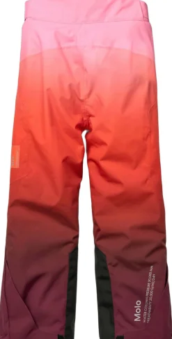 Børn Molo Jump Pro