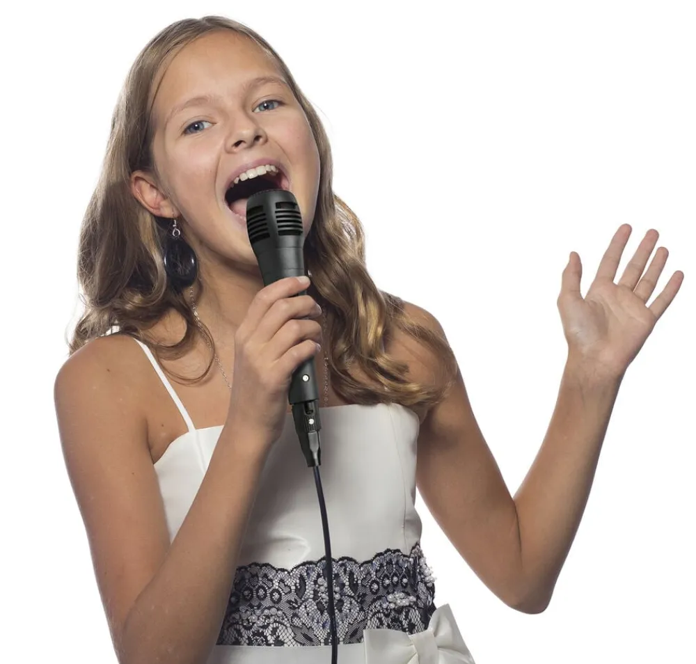 Børn Legetøj KARAOKEHØJTALERmMIC 2x4