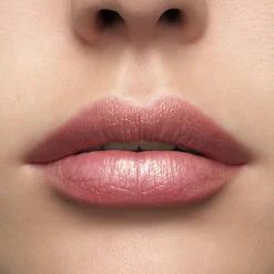 Lancôme L'Absolu Rouge Lipstick 295 0 moi moi moi Sale