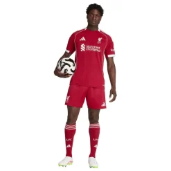 Liverpool 25/26 Hjemmebaneshorts>adidas Hot