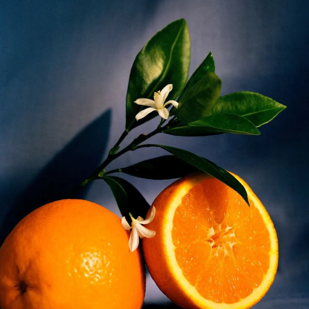 LOEWE Orange Blossom Room Spray 150 ml>Loewe Perfumes Best