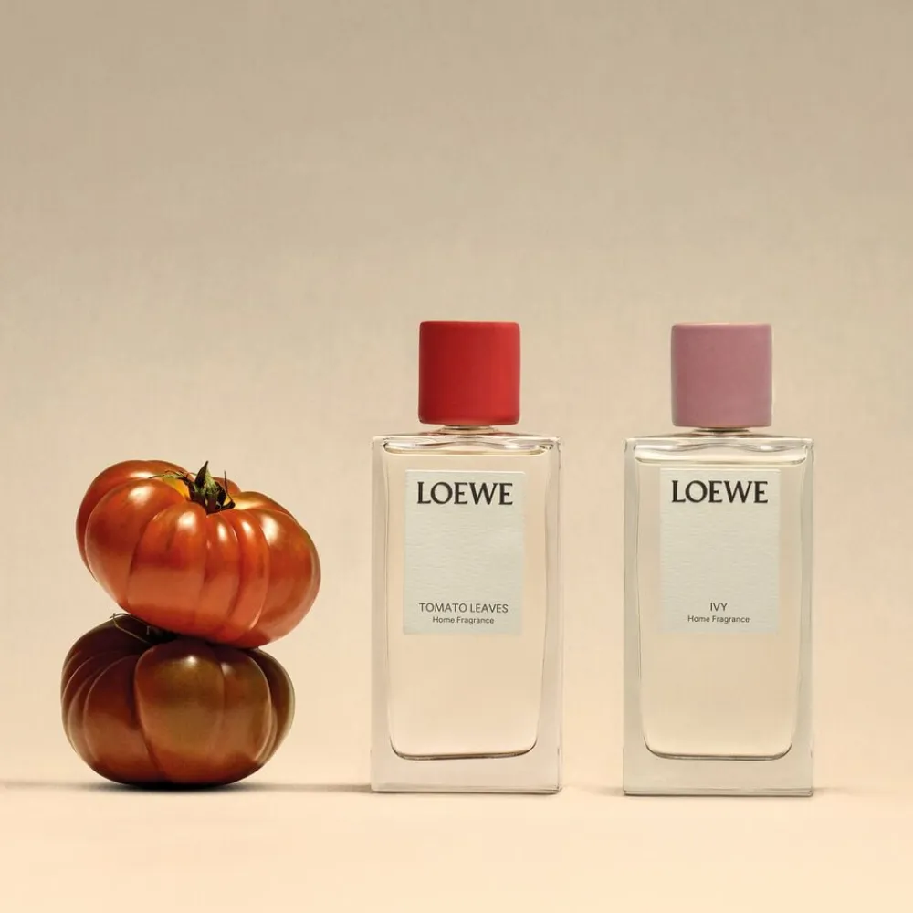 LOEWE Tomato Leaves Room Spray 150 ml>Loewe Perfumes Online