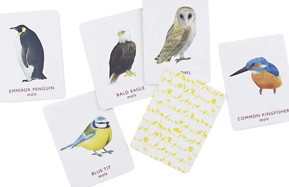 Match a pair of Birds>New Mags Outlet